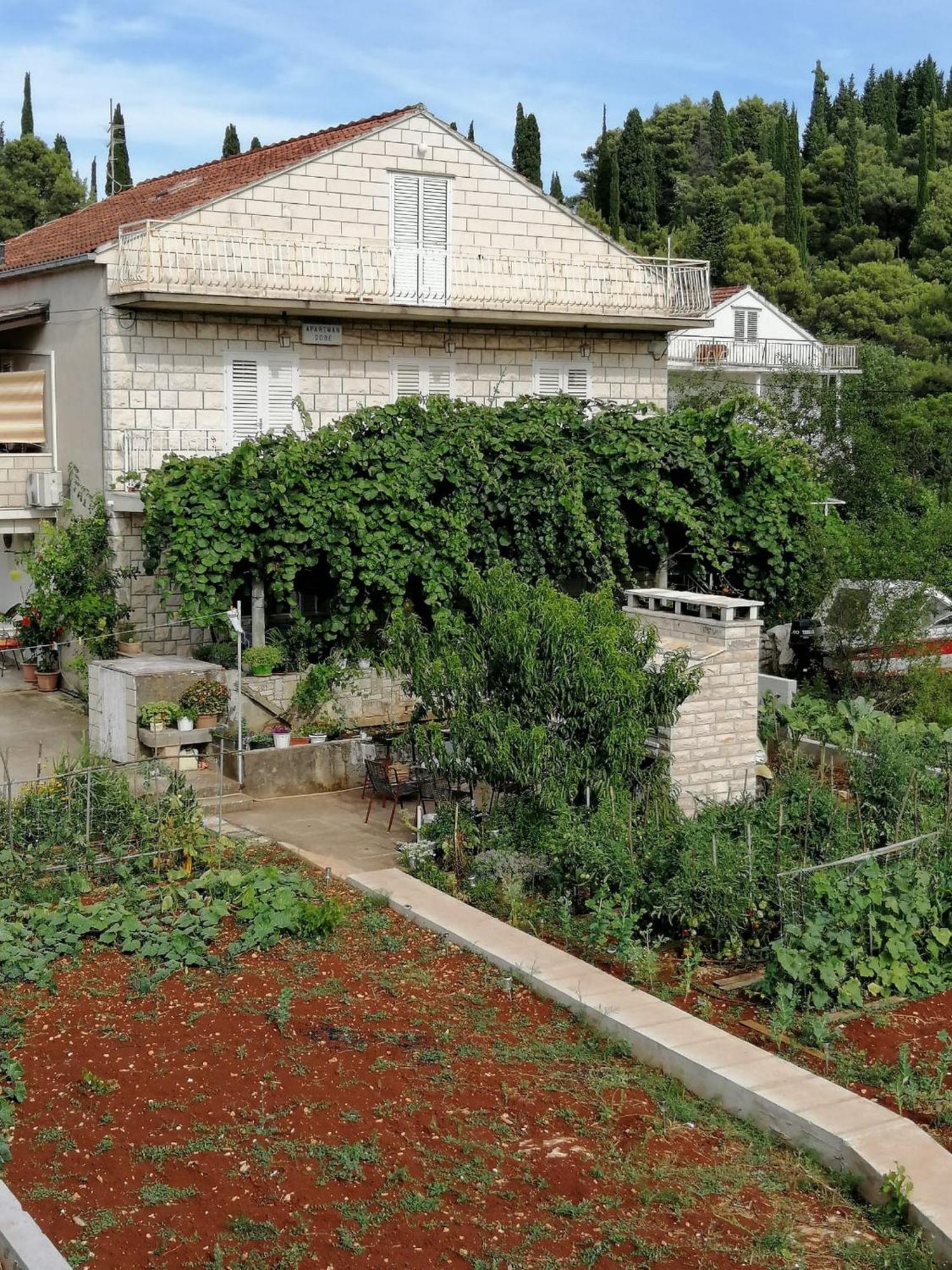 Apartments Marita Korčula Cameră foto